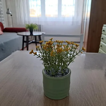 Bertalan Apartman 아파트 부다페스트