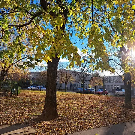 Bertalan Apartman *
